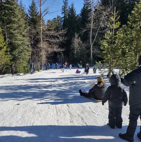People enjoy sledding on a snowy slope surrounded by trees.
