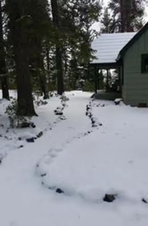A snow-covered pathway leads past a cabin in the woods.