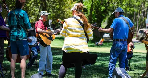 A group of musicians play acoustic instruments together outdoors on the grass.