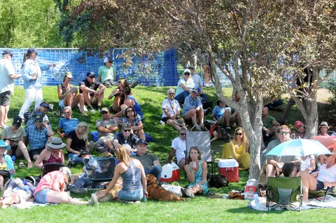 A crowd of people sits on a grassy hill under trees to watch an event.