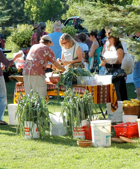 People shopping for fresh produce at an outdoor market.