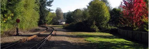 A curved railway track curves through green trees and autumn foliage.