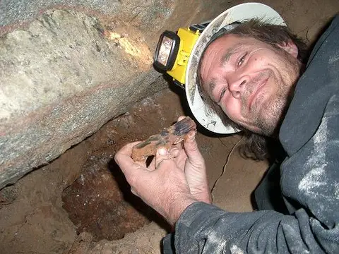 A miner wearing a hard hat holds a mineral specimen inside a mine.
