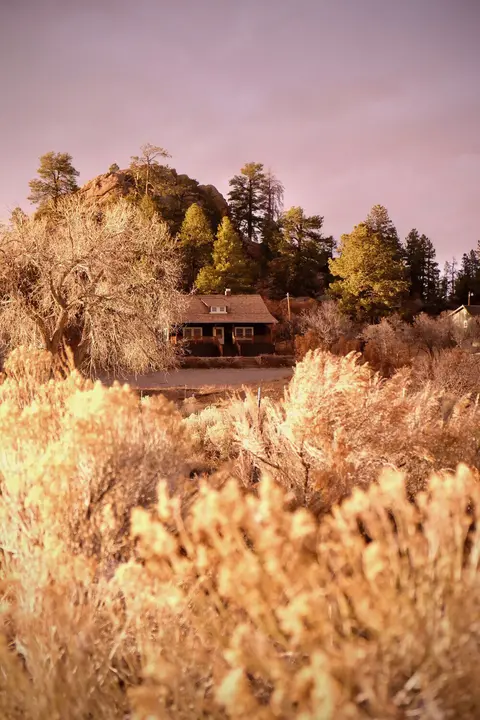 A house sits nestled among trees and dry brush with a pinkish sky above.