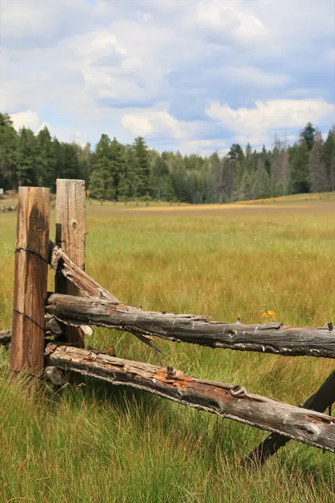 A wooden split-rail fence stands in a grassy meadow with a forest and cloudy sky in the background.
