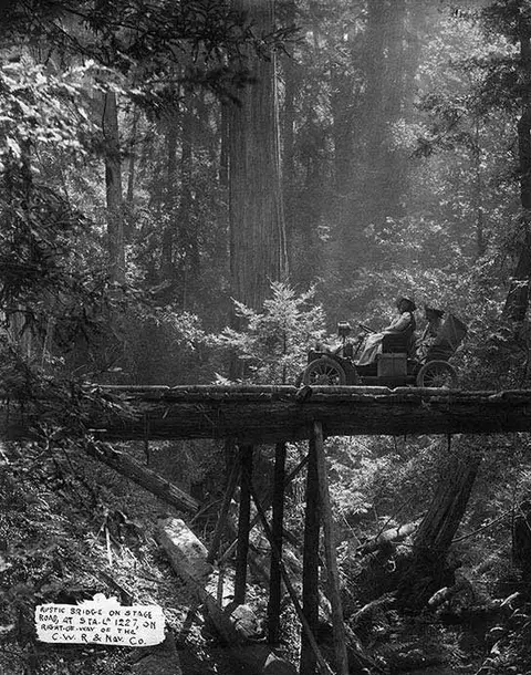 Historic black and white photo of a car crossing a rustic wooden bridge in a dense forest.