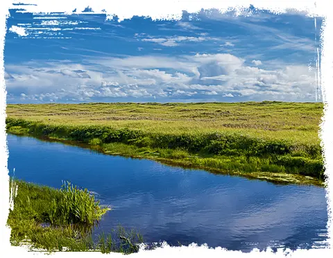 A scenic landscape featuring a river winding through grassy fields under a cloudy blue sky.