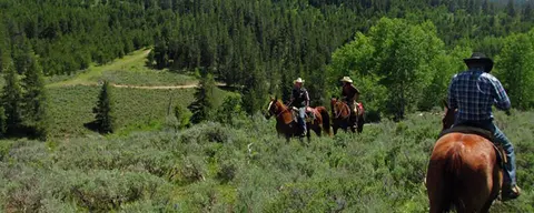 People ride horses through a grassy and forested mountainous area.