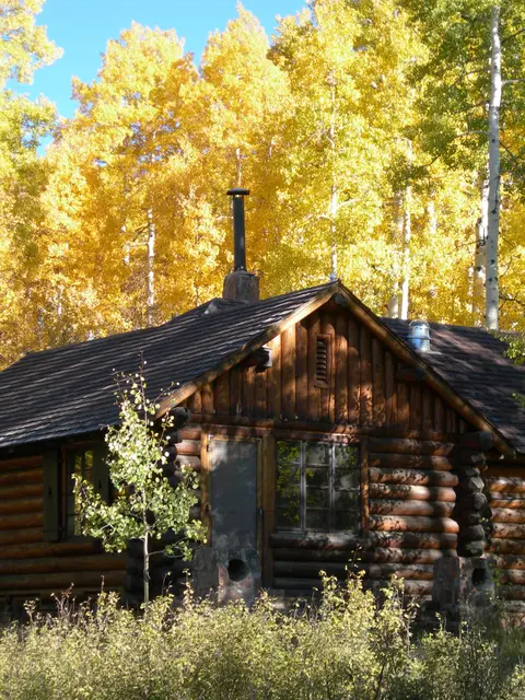 A log cabin nestled among trees with vibrant yellow autumn foliage.