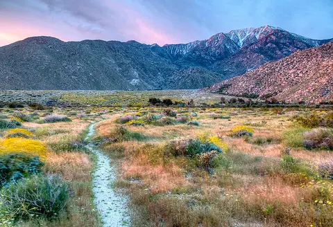 A dirt path winds through a desert landscape towards mountains with snow.