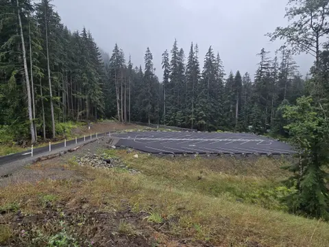A paved parking lot nestled in a dense pine forest on an overcast day.