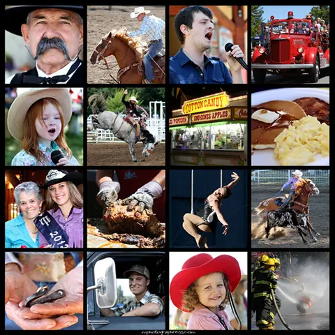 A collage of photographs showcasing people, animals, food, and activities.