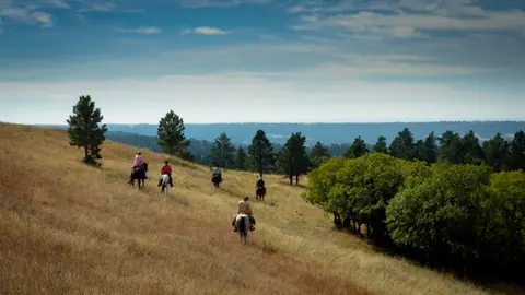 A group of people ride horses across a grassy hillside.