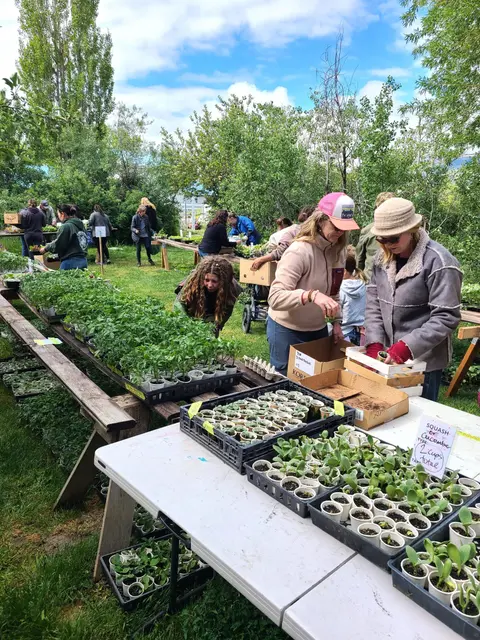People gathering outdoors at a plant sale or seedling distribution event.