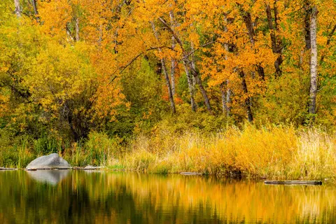A tranquil lake reflects trees with vibrant autumn foliage and a large rock.