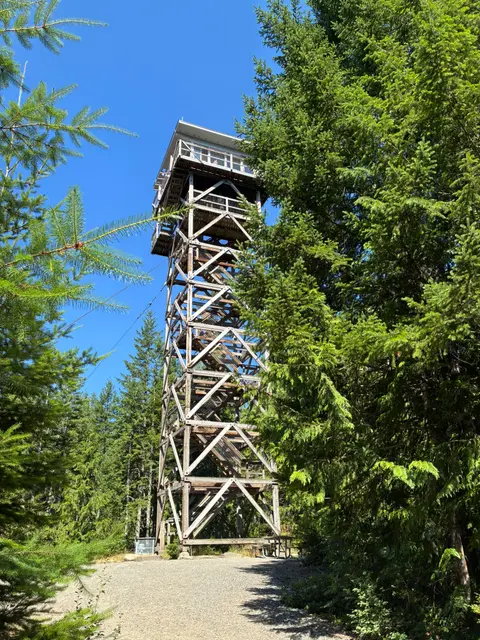 A tall wooden fire lookout tower stands surrounded by dense pine trees.