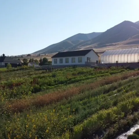 A farm field with crops and buildings in front of mountains.