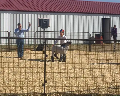 A person shows a sheep in an outdoor enclosure while a speaker talks nearby.
