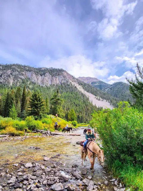 People ride horses through a shallow river with mountains and trees in the background.