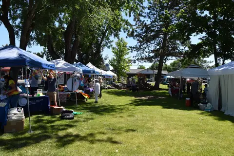 A row of vendor tents set up on a grassy park area with trees and people.