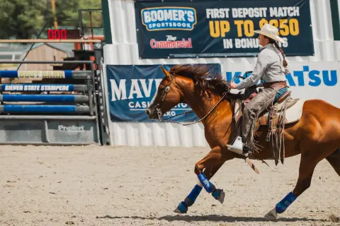 A person rides a horse in an arena with banners in the background.