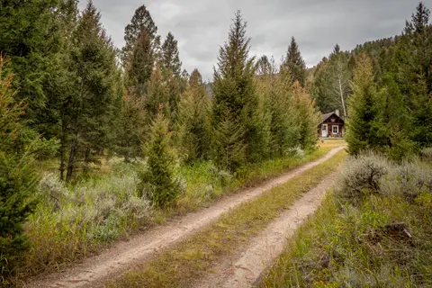 A dirt road leads through a forest toward a small cabin under a cloudy sky.
