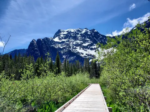 A wooden boardwalk leads through green foliage toward a large snow-covered mountain under a blue sky.