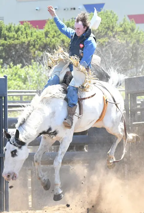 A cowboy rides a bucking white horse at a rodeo.