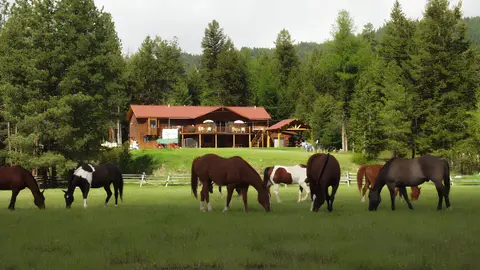Horses graze in a green pasture in front of a large wooden lodge backed by forest.