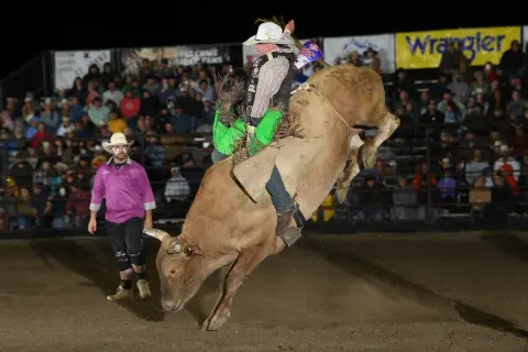 A bull rider riding a bucking bull at a rodeo event.