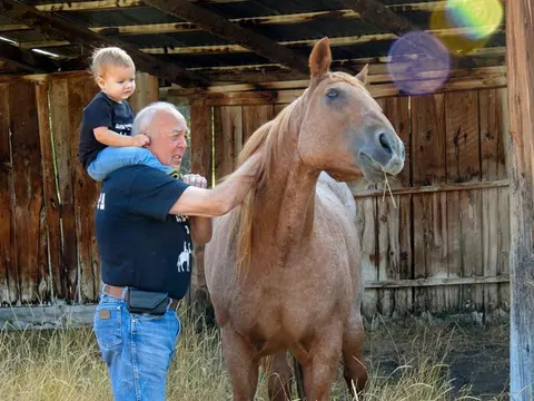 An older man carrying a toddler on his shoulders stands next to a horse inside a rustic barn.