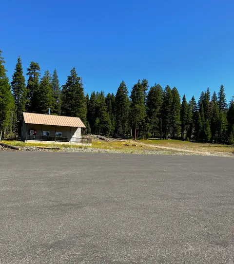 A small building near a line of trees and an empty paved area under a clear blue sky.