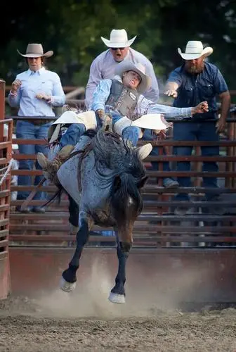 A cowboy rides a bucking horse at a rodeo arena.