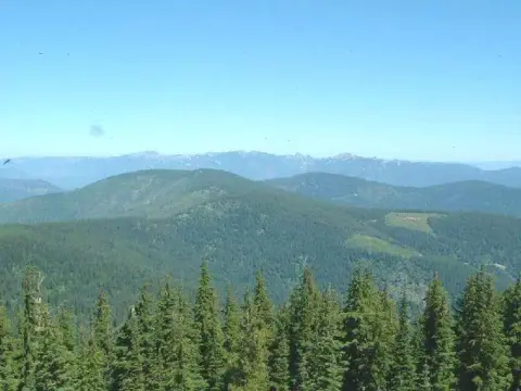 A view of forested hills under a blue sky.