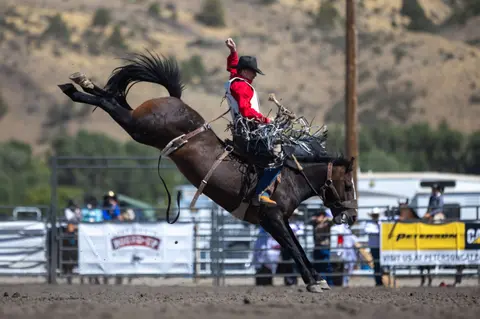 A cowboy rides a bucking horse at a rodeo.