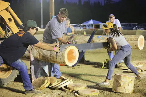 People sawing a log with a crosscut saw.