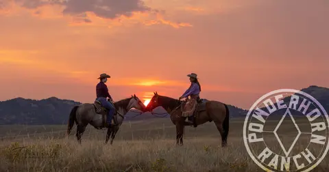 Two people on horseback at sunset in a field.