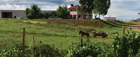 A horse-drawn wagon carries people across a grassy field near a building.