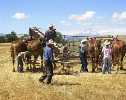 People working in a field with horses and agricultural equipment.