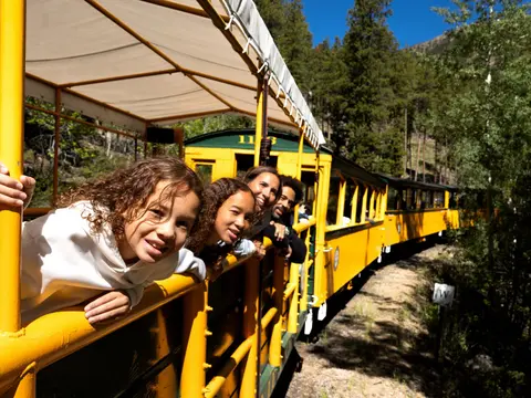 A family riding on an open-air train through a forest.
