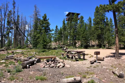 A campsite with a picnic table, fire ring, and grill, with a lookout tower visible in the background among trees.