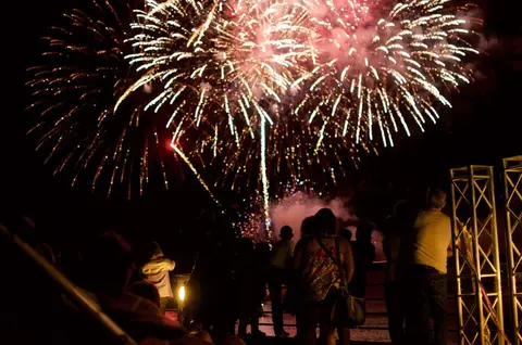A crowd of people watches fireworks bursting in the night sky.
