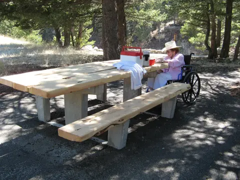 An older person in a wheelchair sits at an outdoor picnic table in a forest setting.