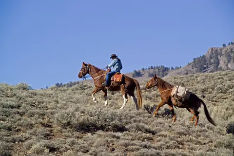 A person rides a horse across a hillside while leading a pack horse.