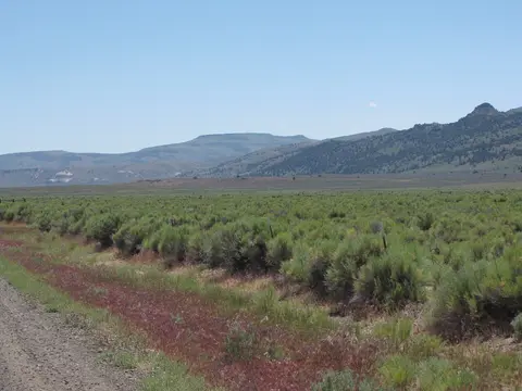 Surprise Valley / Barrel Springs Back Country Byway landscape.