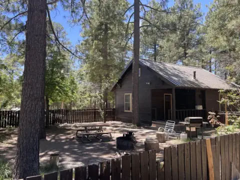 A dark wooden cabin sits in a fenced-in wooded area with a picnic table and fire pit.