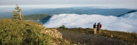 Three hikers stand on a mountain ridge overlooking a sea of clouds.