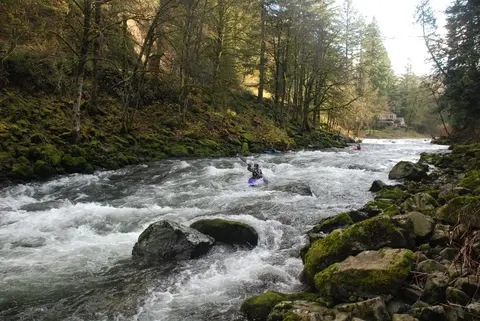 A person kayaking on a fast-flowing river through a forest.